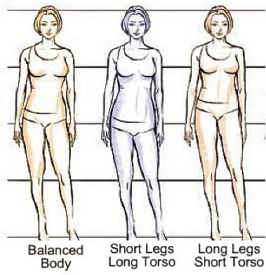 long and short torso
