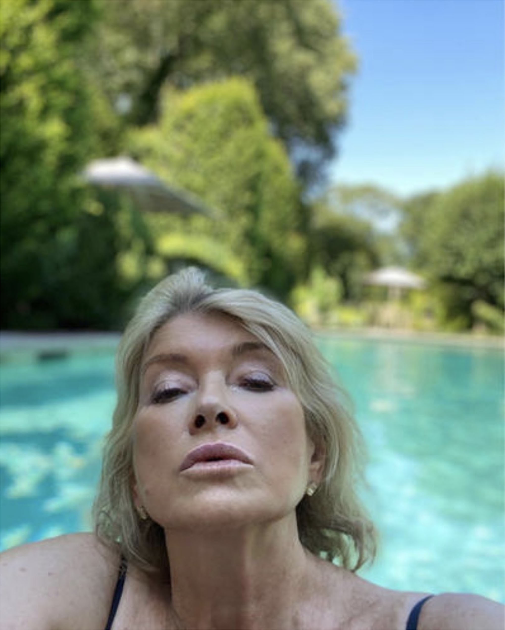 david wrinkle recommends martha stewart porn pic