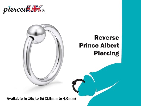 ciaran ross recommends Prince Albert Piercing Gauge