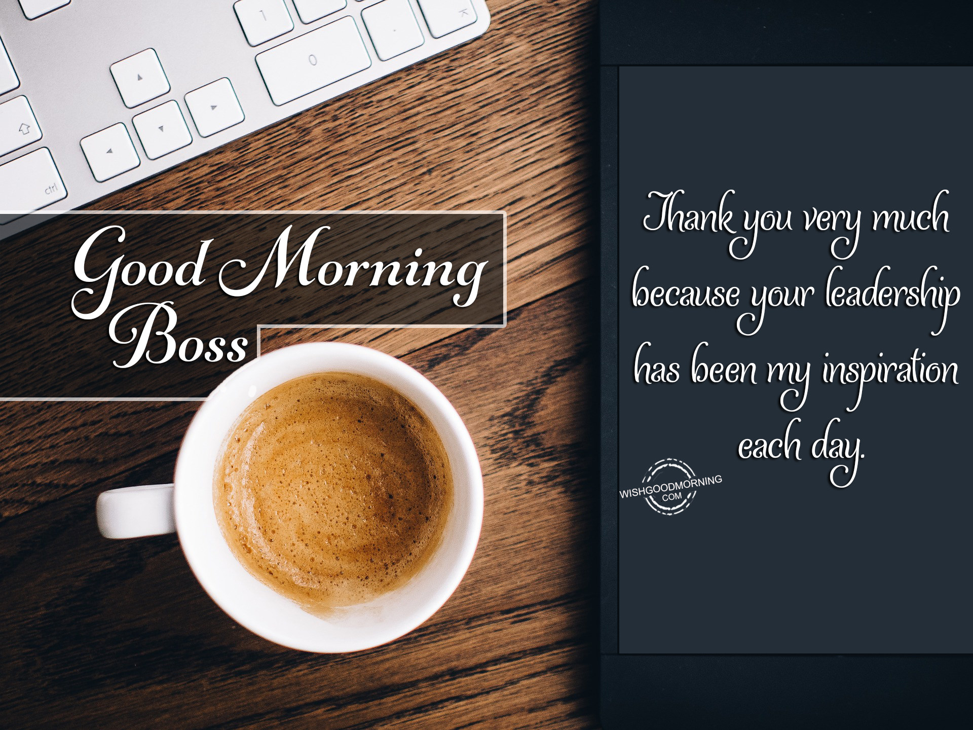 Best of Good morning boss lady