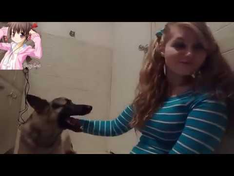 Best of Girl who fucks dogs