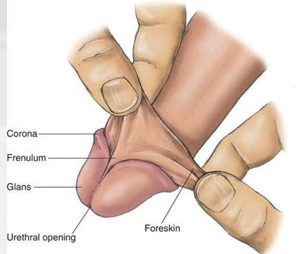 best masturbation positions for men