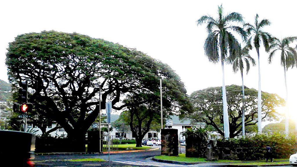 andrew cramer share university of hawaii porn photos