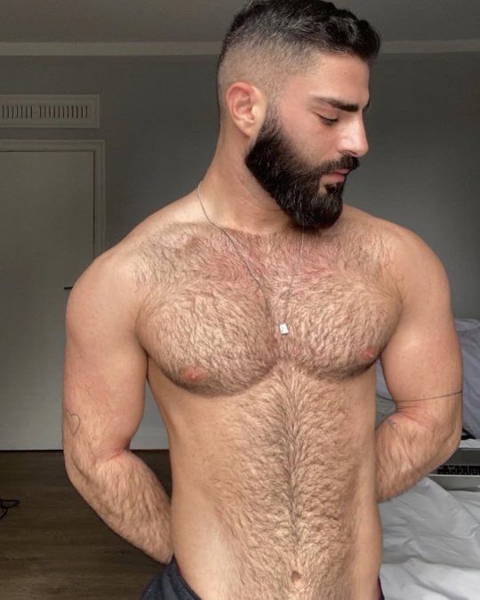 avner hazan recommends Hot Hung Hairy Men