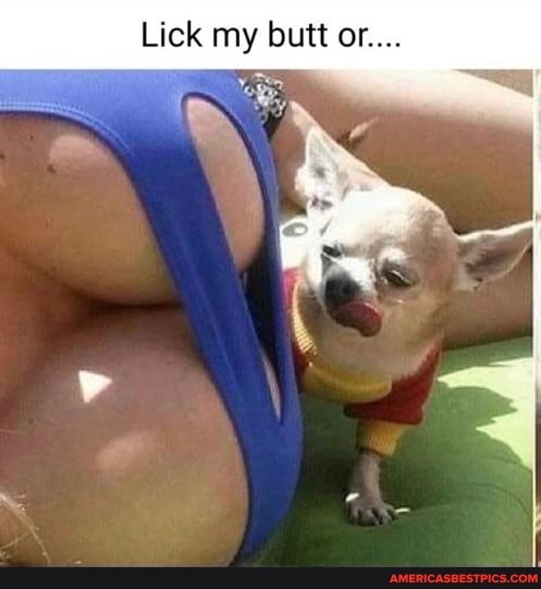andy villegas recommends lick on my butt pic