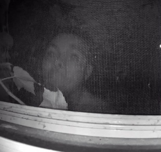 Best of Best peeping tom videos