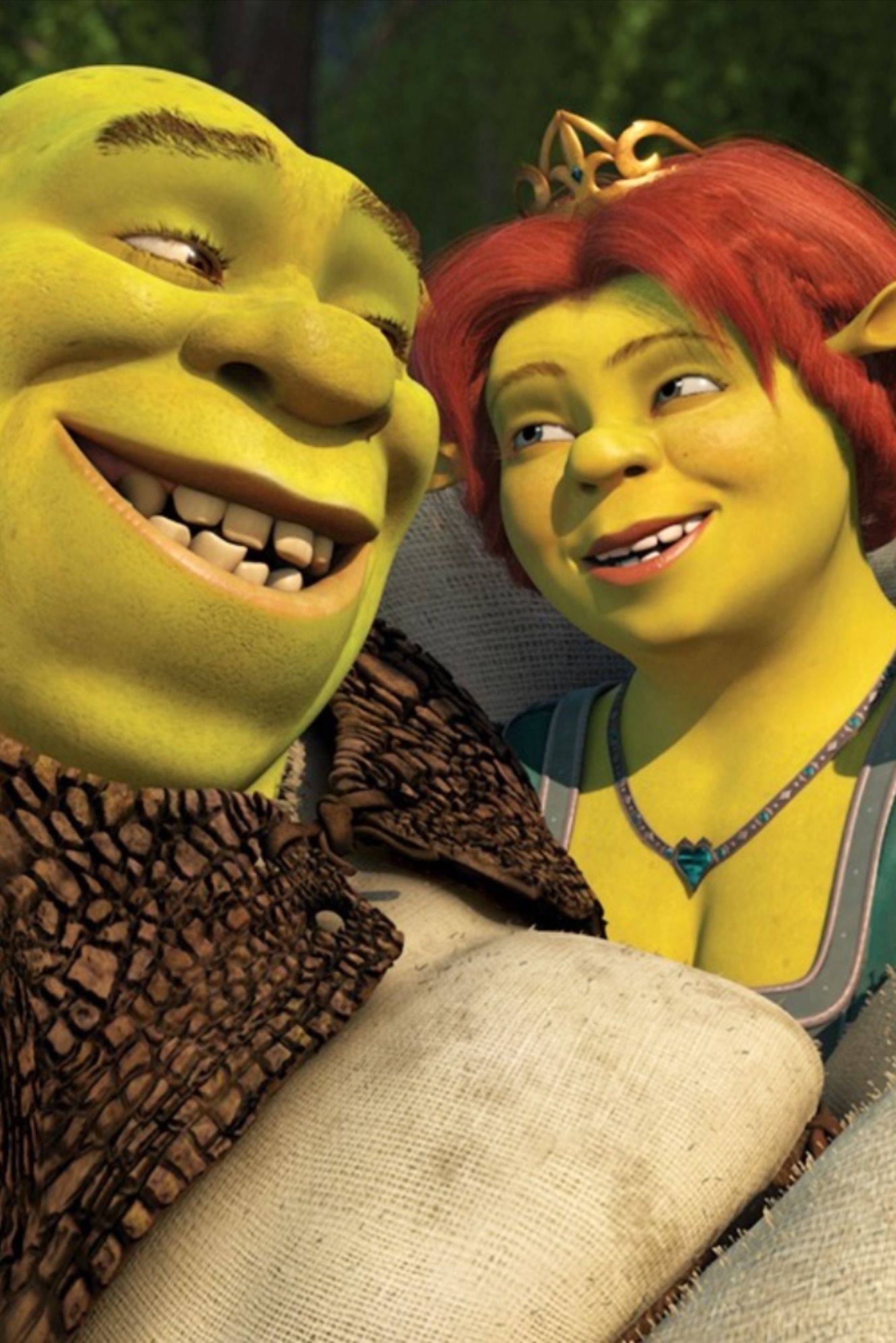 Pictures Of Fiona From Shrek guys butts