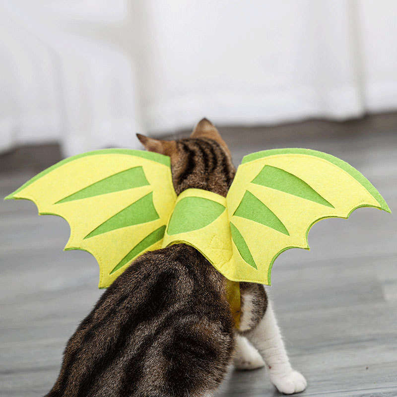 becky byrd recommends dragon costume for cat pic