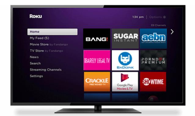 brian zettler recommends Roku Free Porn Channel