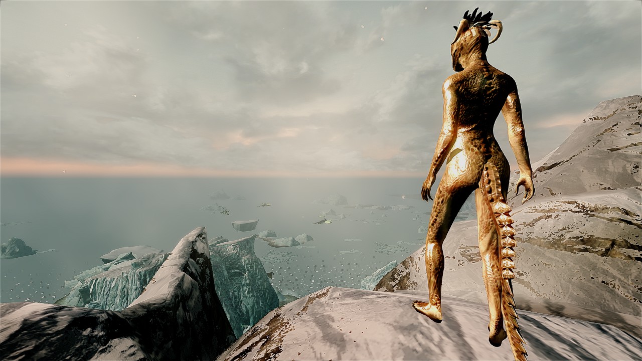 aminul islam polash add naked mod in skyrim photo