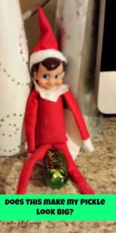 bonnie degray add photo dirty elf on the shelf pictures