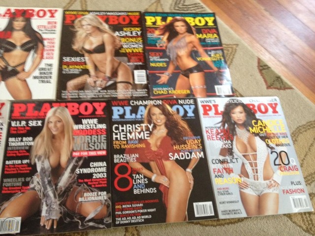 domanique johnson recommends wwe playboy pic pic