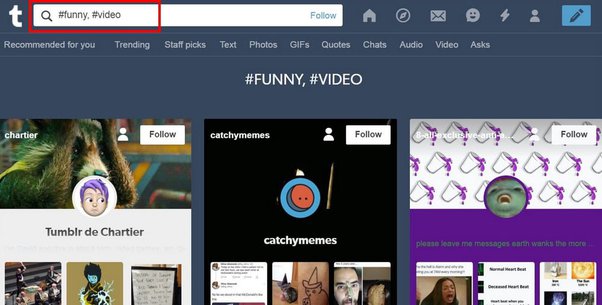 crystal whitely recommends how to search gifs on tumblr pic