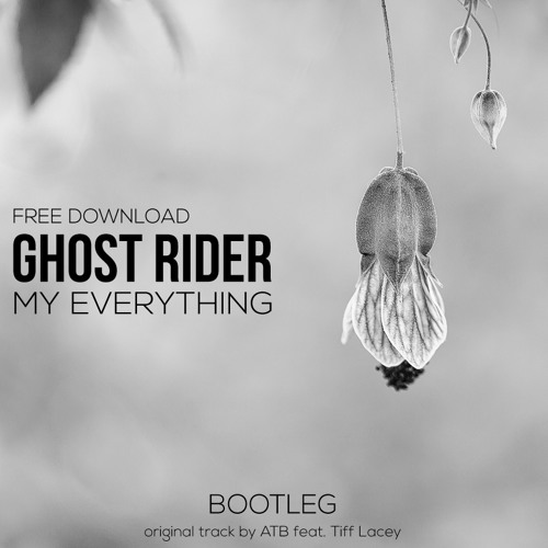 david derby share ghost rider online free photos