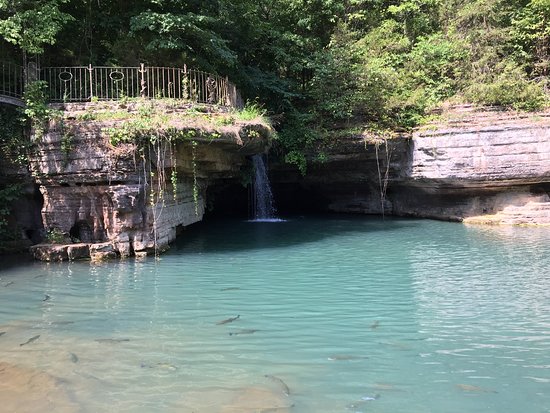 daliborka babic recommends glory holes in texas pic