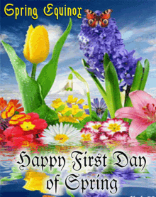 chris summers recommends Happy First Day Of Spring Gif