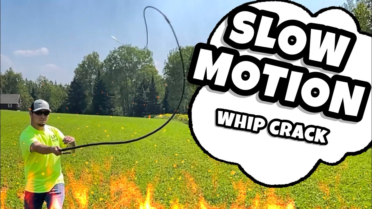 cheryl bonello recommends whip crack slow motion pic