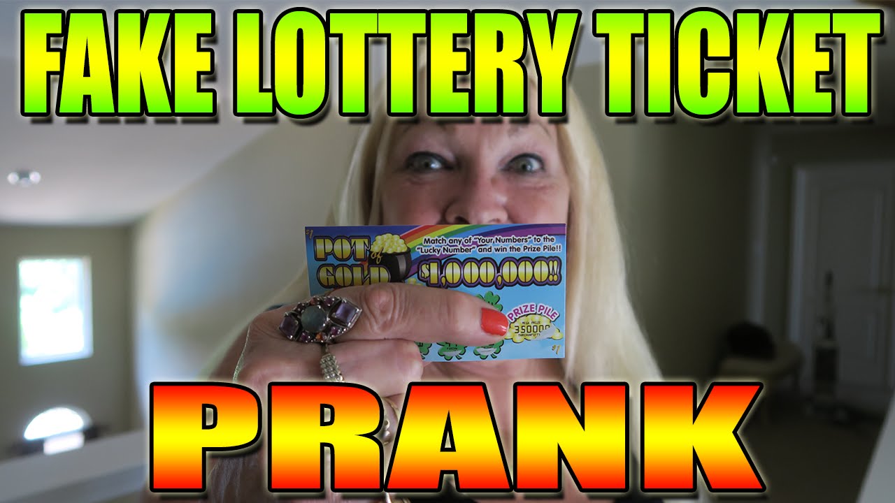 danijela perkovic recommends lotto prank gone wrong pic