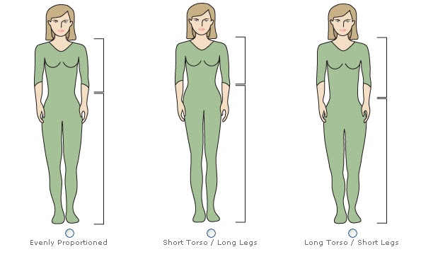 ashley eisenman recommends long and short torso pic
