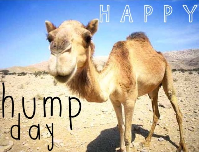 Happy Humpday Images pink hd