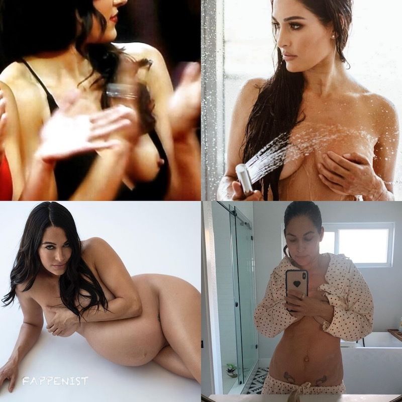 claudia gracia share wwe bella twins nip slip photos