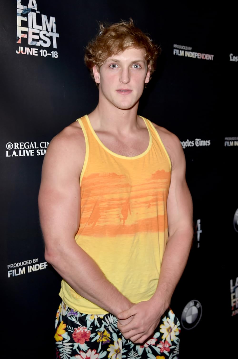 logan paul dick