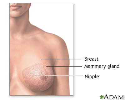 angelo marana add breast nipple pic photo