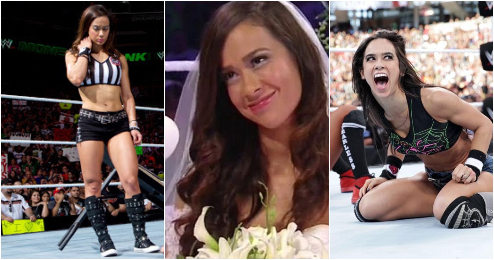 david alm add photo aj lee look alike