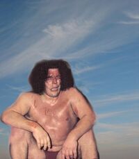 amber graybill add andre the giant dick photo