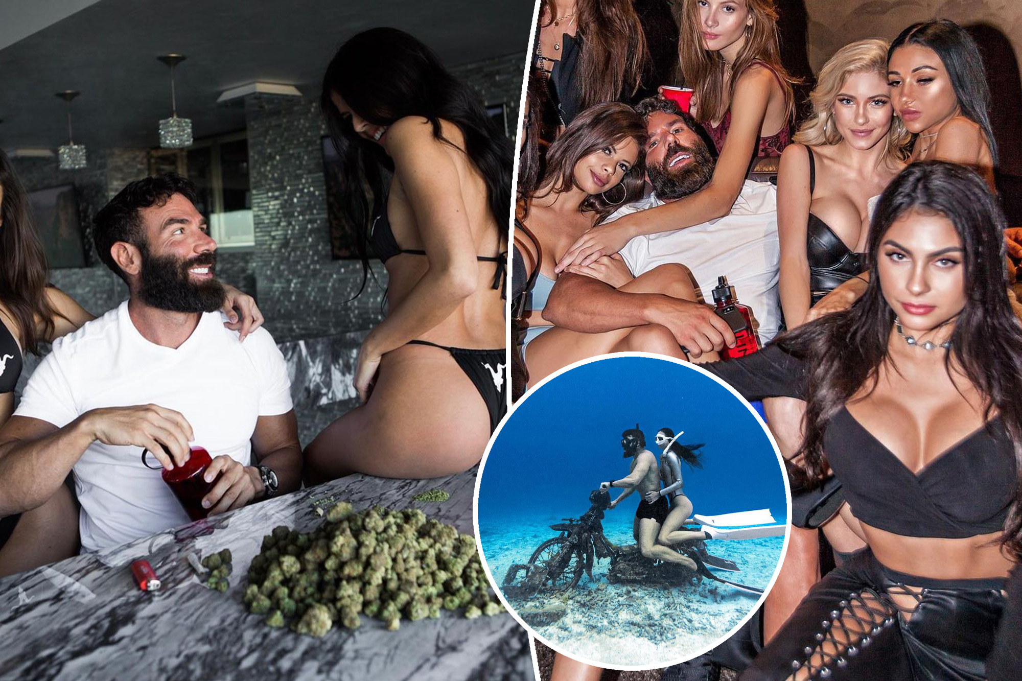 dan kellen recommends dan bilzerian sex video pic