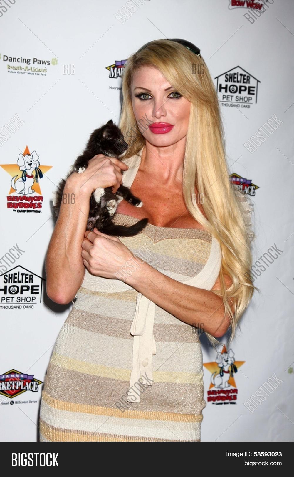 afsheen bilal recommends taylor wane pics pic