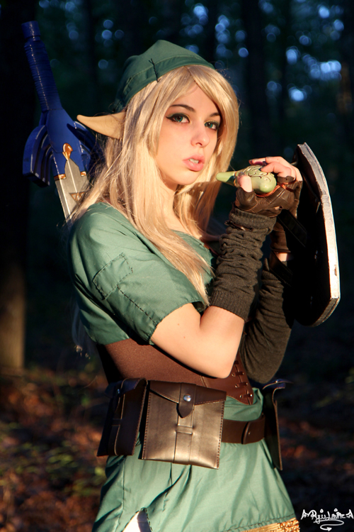 aaron blakeman recommends girl link cosplay pic