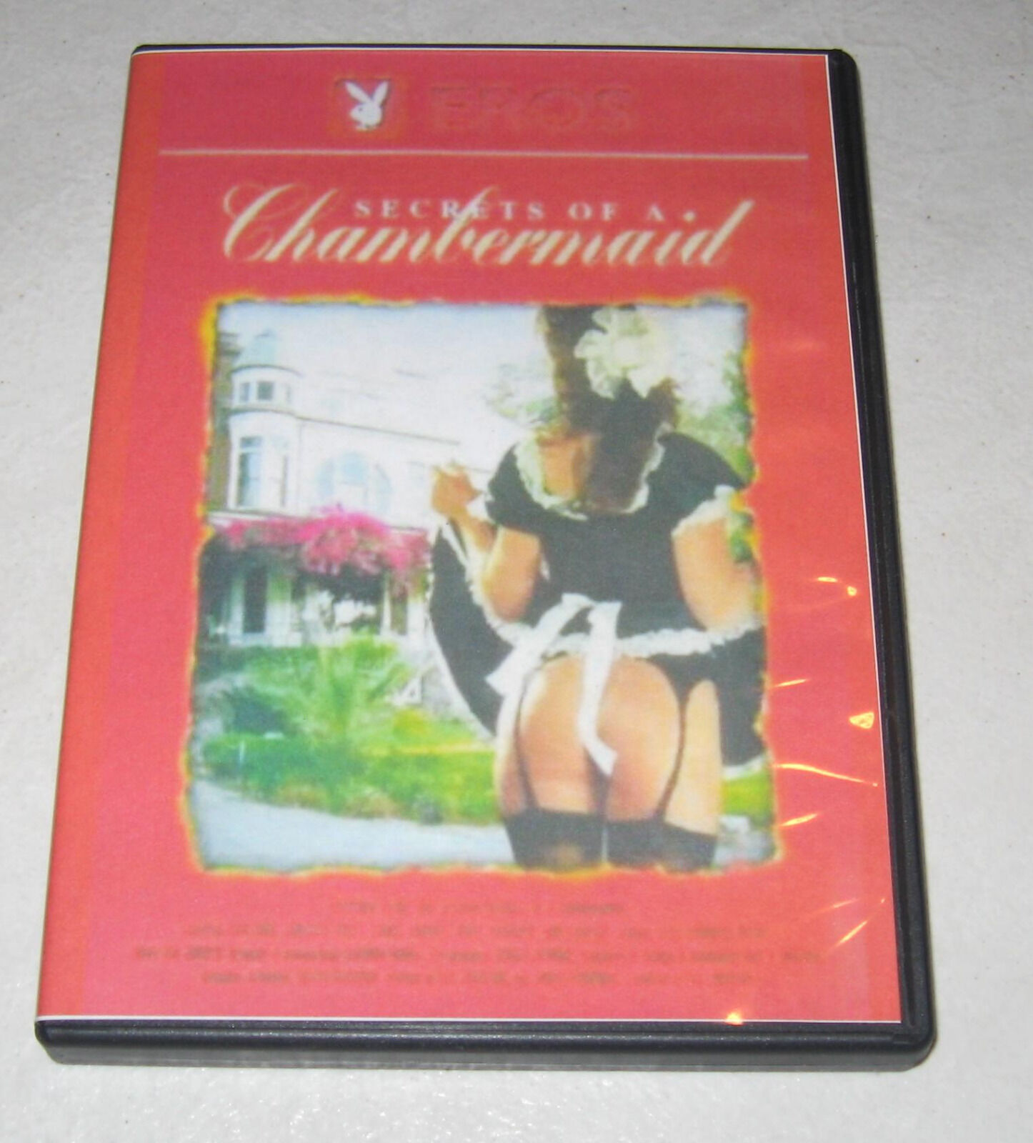 adam levitan recommends Secrets Of A Chambermaid