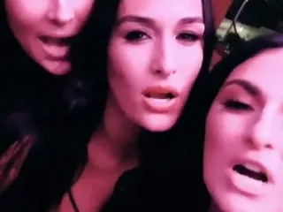 Bella Twins Sex Tape bodyworks jackson