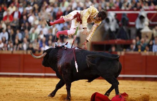 Bull Fights Gone Bad leipzig pcschiedel