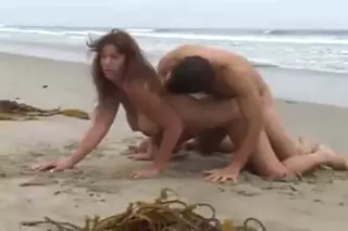 cody shealy add photo milf sex on beach