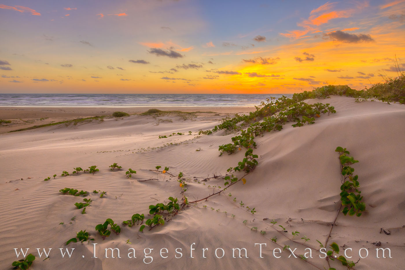 adrianito canlas recommends backpage south padre island pic