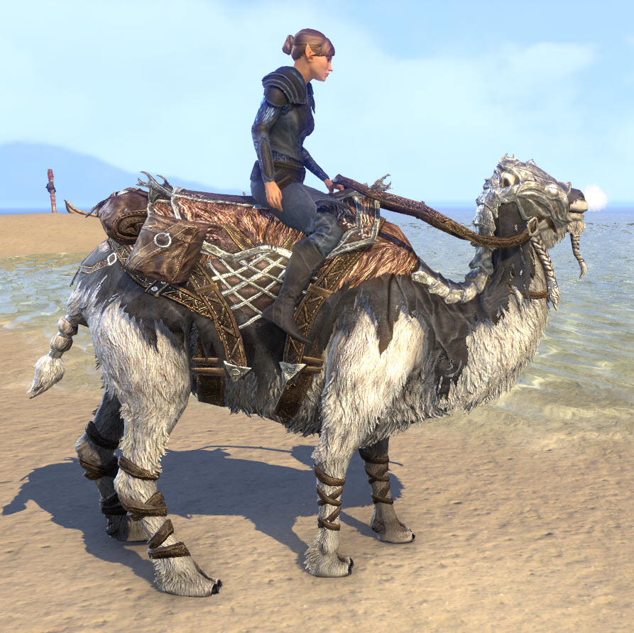 biswanath rath recommends bdo how to get camel pic