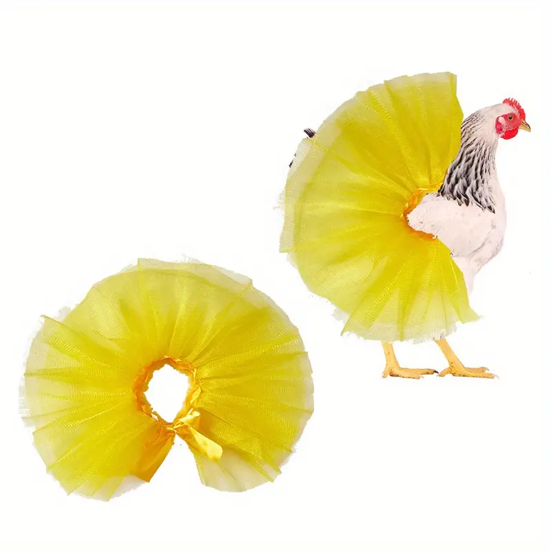 aaron boore add chickens in skirts photo