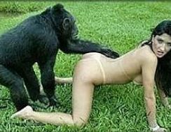 chimps fucking girls
