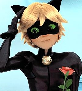 anne marquardt recommends cute pictures of cat noir pic