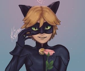 brandon lewter recommends cute pictures of cat noir pic