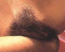 aaron ginn recommends big hairy pussy challenge pic