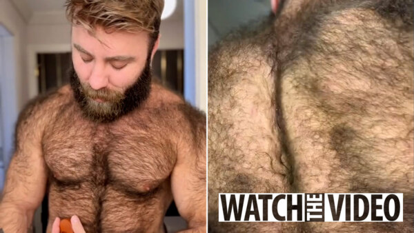 alee syed recommends hairy bears free videos pic