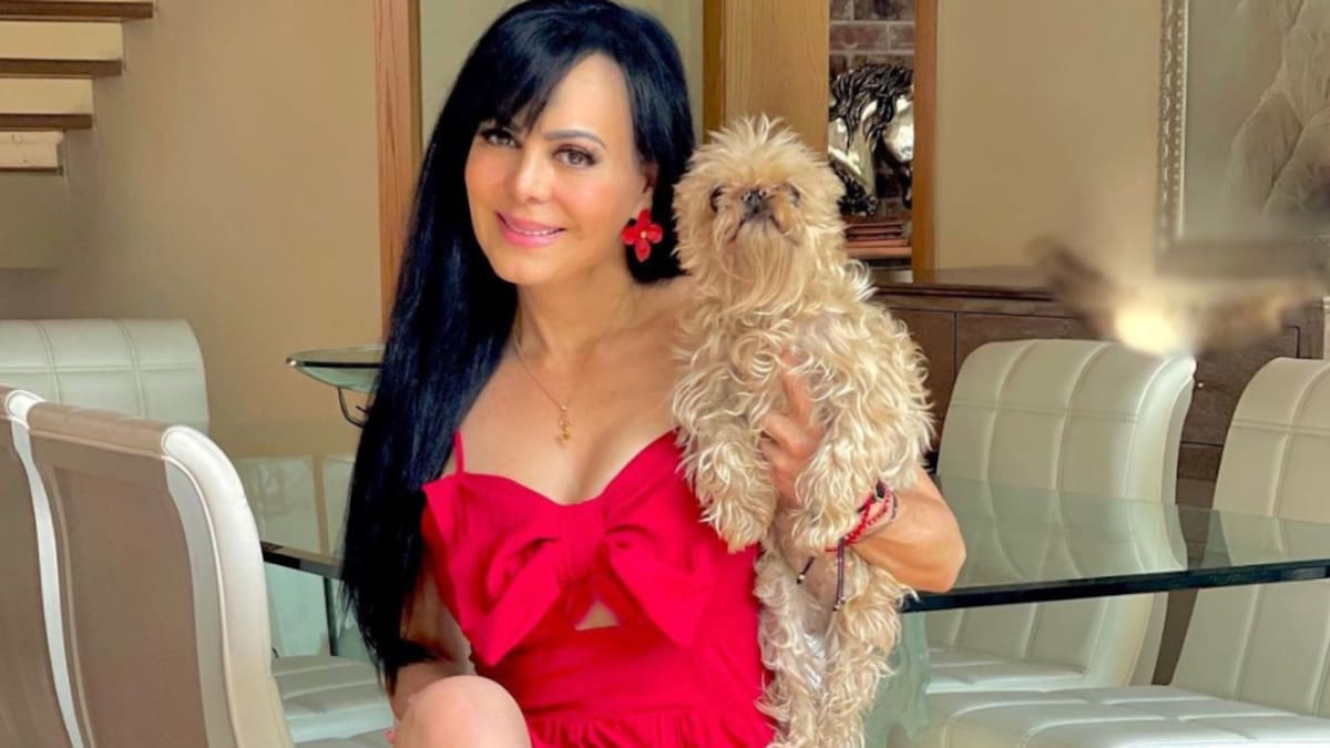 crystal mosley add photo descuido de maribel guardia