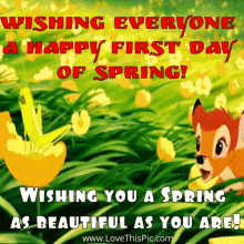 Best of Happy first day of spring gif