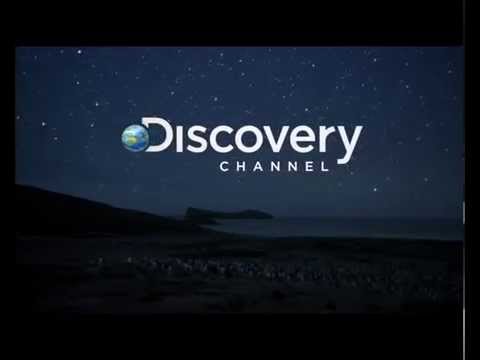 carmen mc recommends Discovery Channel In Hindi