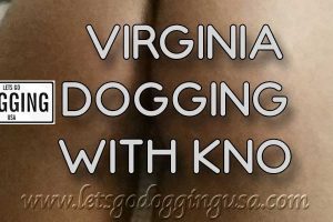 Best of Dogging in the usa