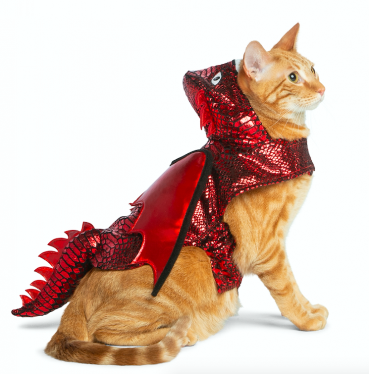 dragon costume for cat