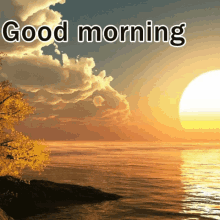 allison moll recommends good morning beach gif pic
